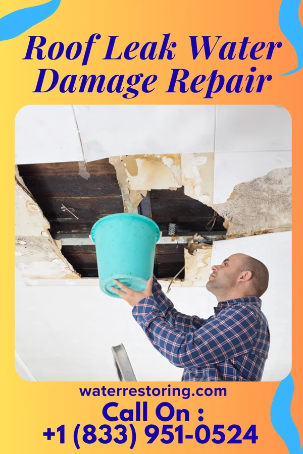 Roof Leak Water Damage Repair in Warner Robins, GA