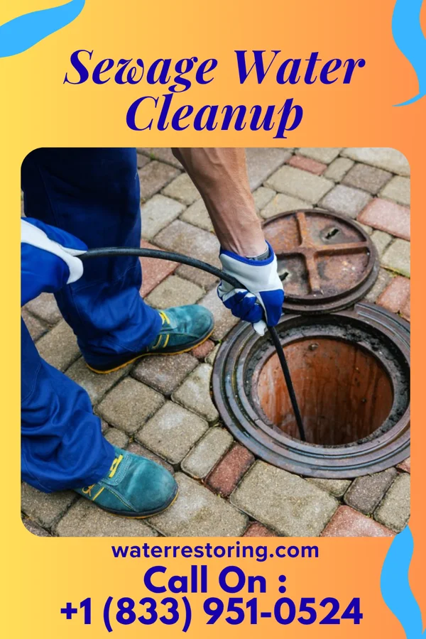Sewage Water Cleanup in Warner Robins, GA